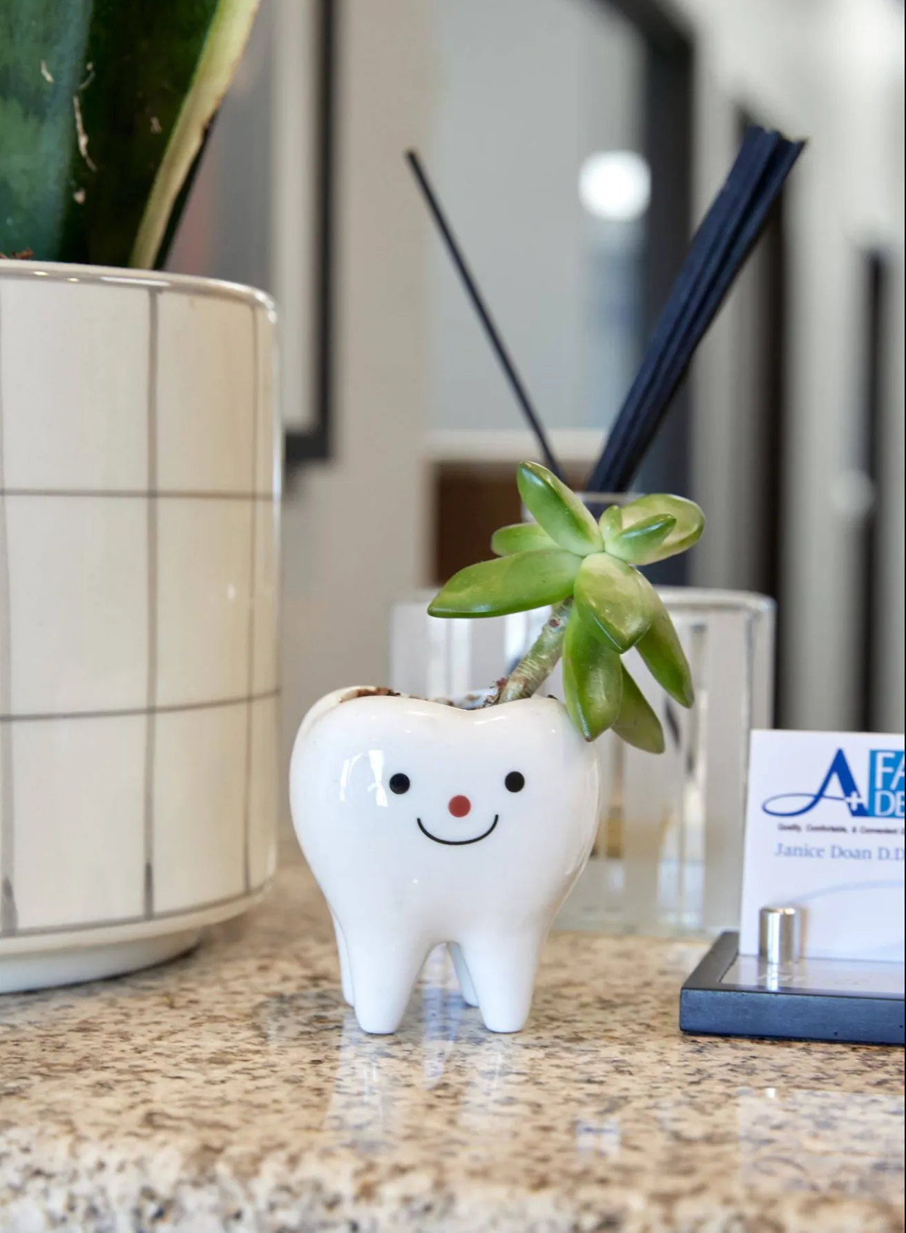 A+ Family Dentistry office detail
